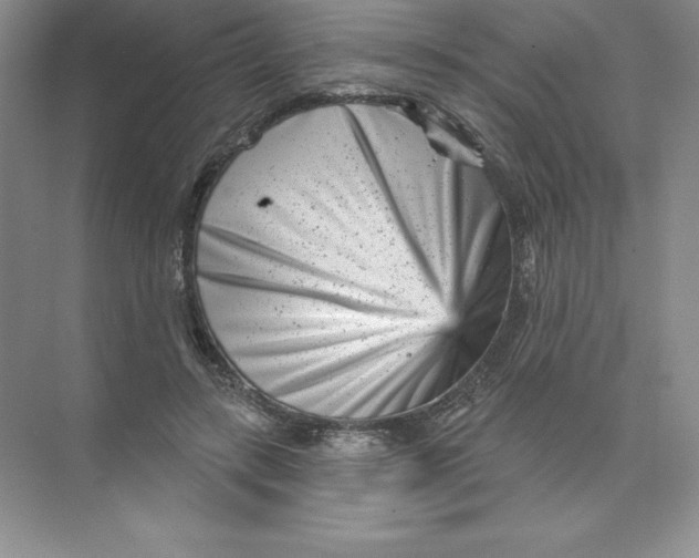 X0000074220547200609222010