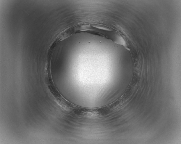 X0000074220548200609222010