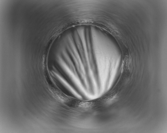 X0000074220550200609222010