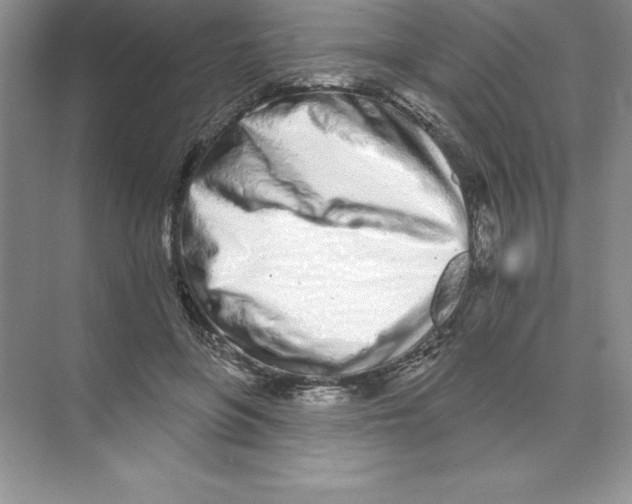 X0000074220551200609222010