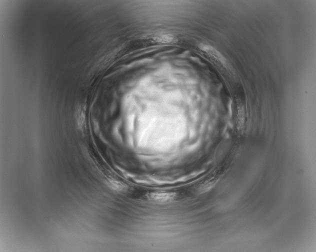 X0000074220553200609222010