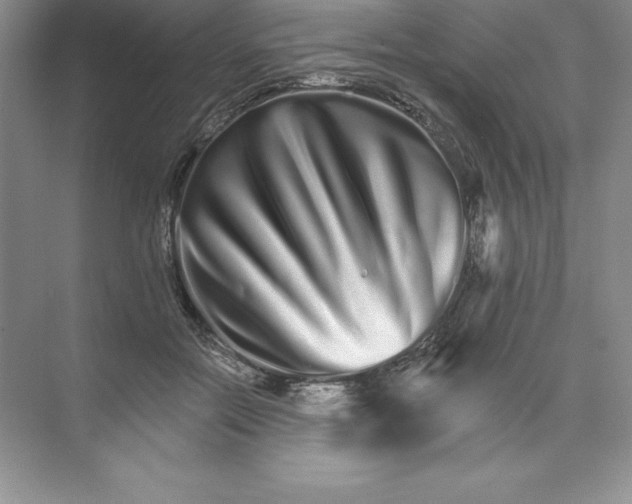 X0000074220554200609222010