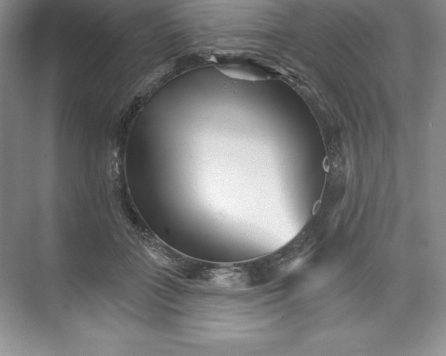 X0000074220555200609222010