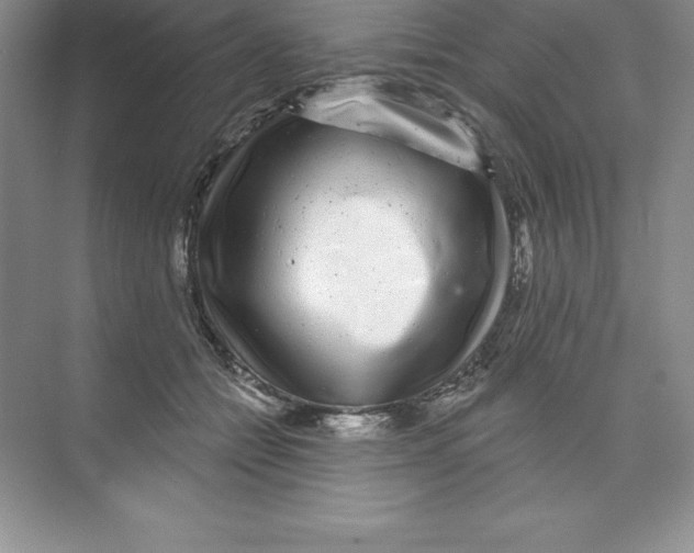 X0000074220558200609222010