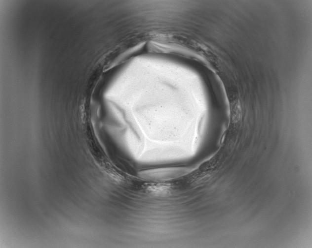 X0000074220560200609222010