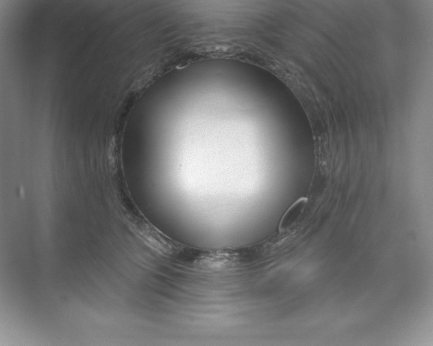 X0000074220563200609222010