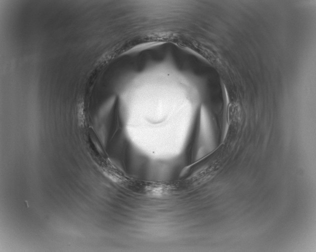 X0000074220564200609222010