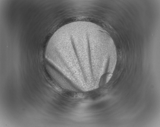 X0000074220565200609222010