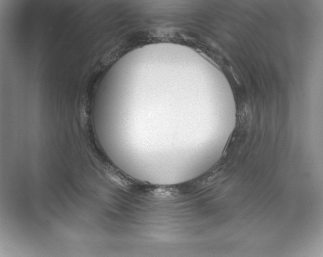 X0000074220566200609222010