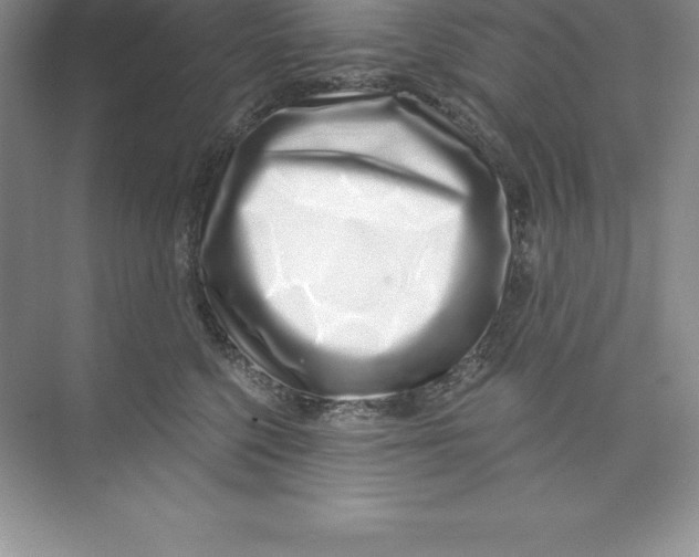 X0000074220568200609222010