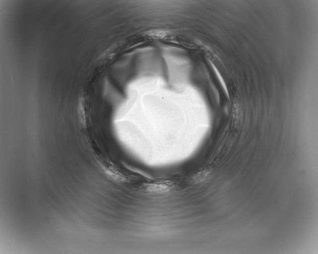 X0000074220572200609222010