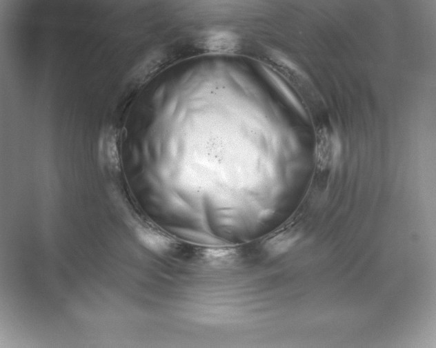 X0000074220573200609222010