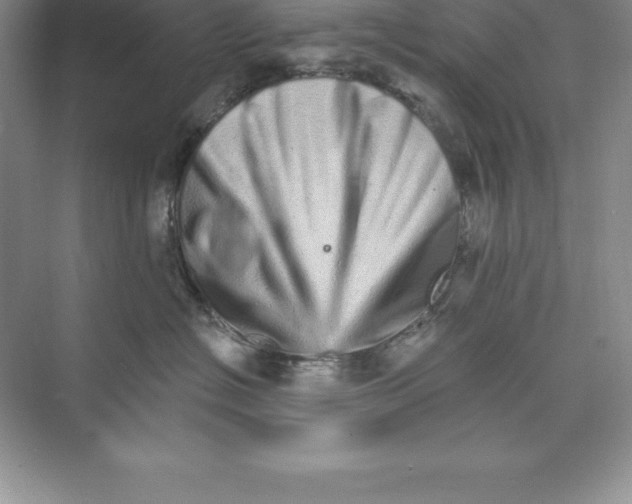 X0000074220574200609222010