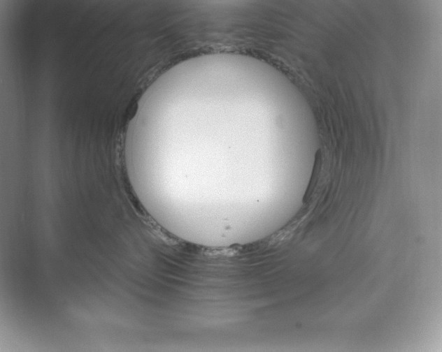 X0000074220576200609222010