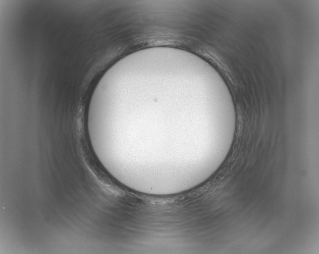 X0000074220586200609222009