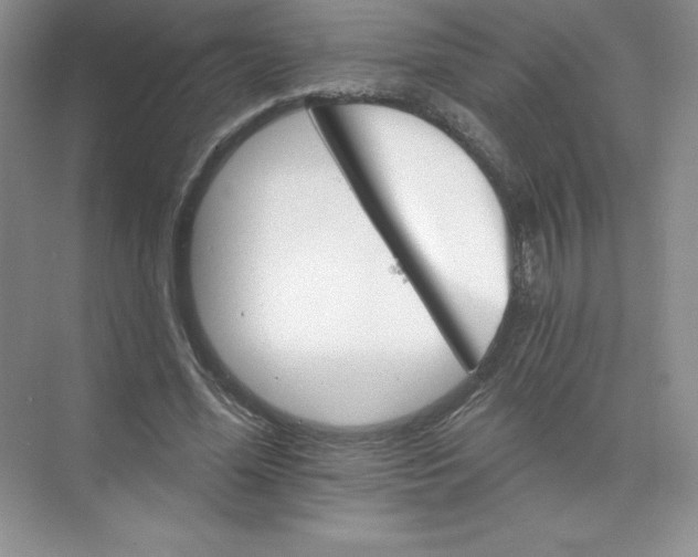 X0000074220588200609222009
