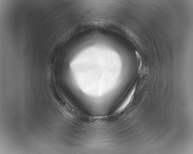 X0000074220593200609222009