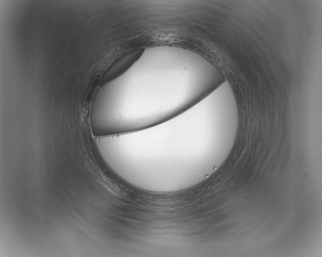 X0000074220601200609222009
