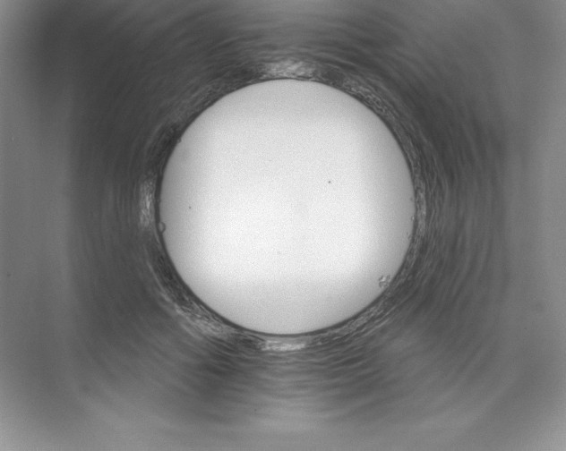 X0000074220602200609222009