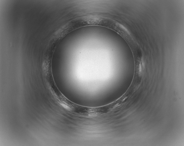 X0000074220604200609222009
