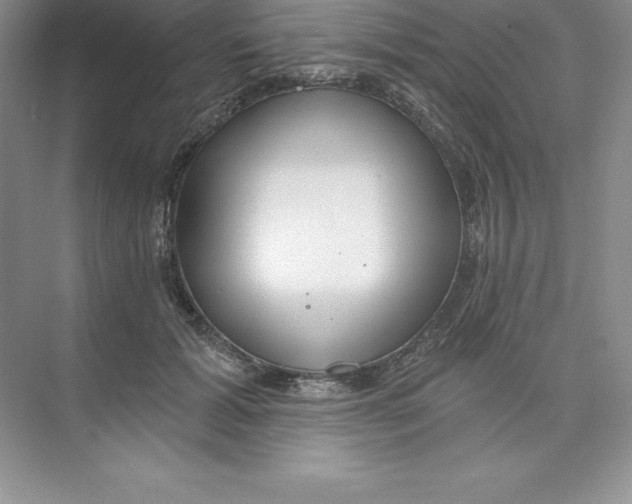 X0000074220605200609222009