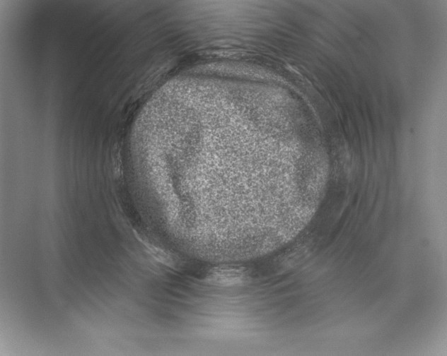 X0000074220606200609222009