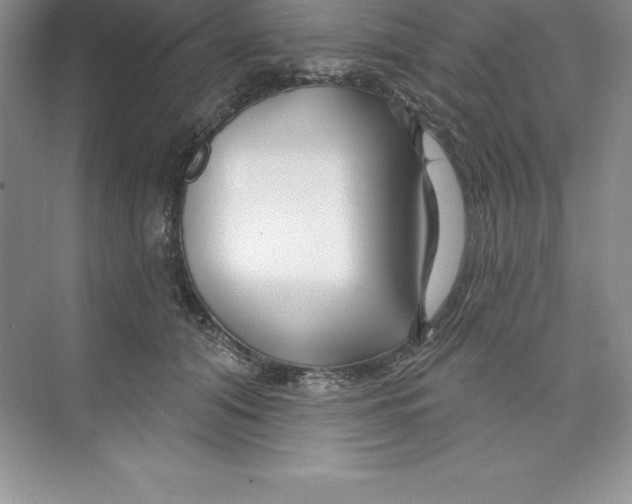 X0000074220608200609222009