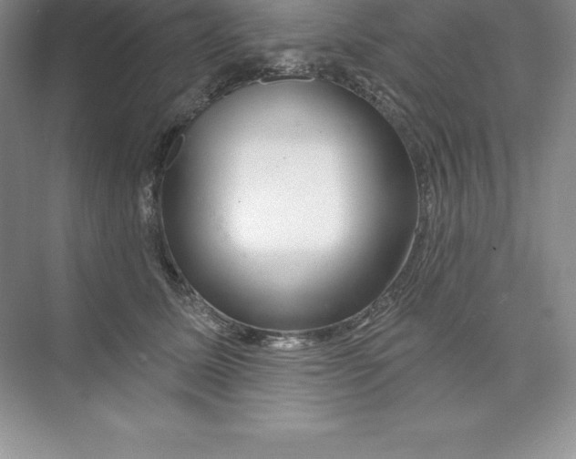 X0000074220611200609222009
