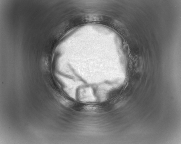 X0000074220614200609222009