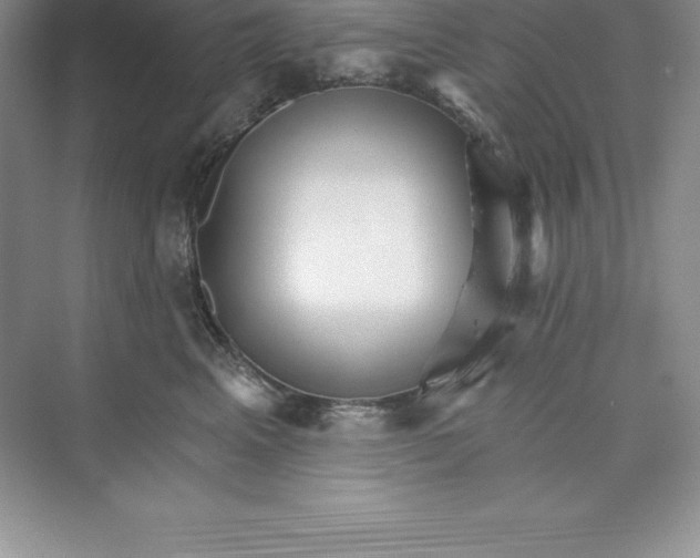 X0000074220617200609222009