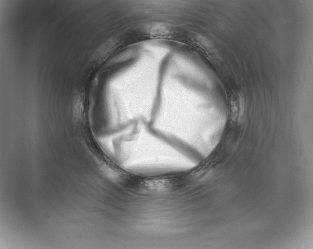 X0000074220618200609222009