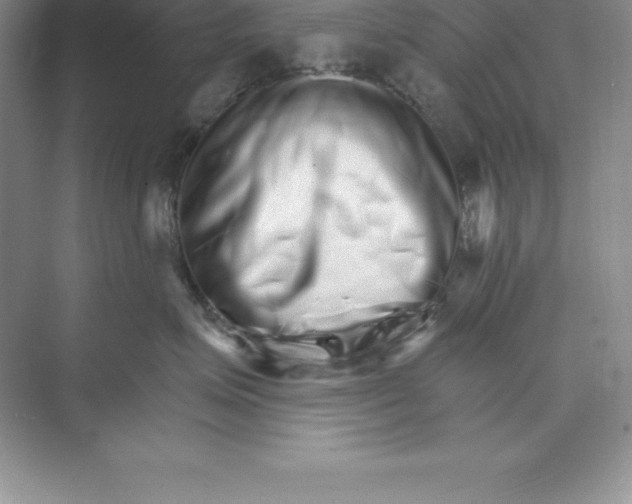 X0000074220623200609222009