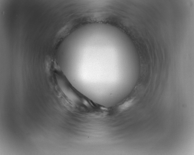X0000074220624200609222009