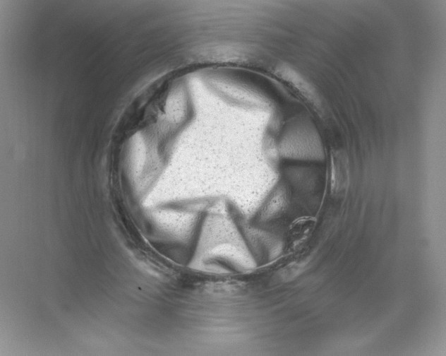 X0000074220627200609222008