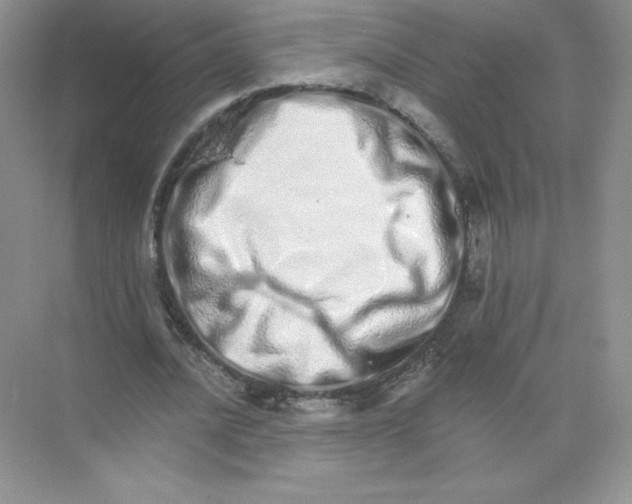 X0000074220628200609222008