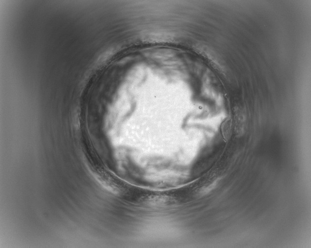 X0000074220631200609222008