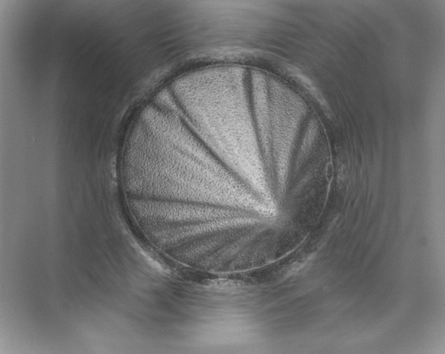 X0000074220633200609222008