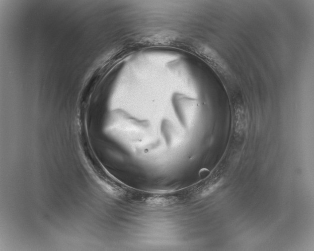 X0000074220634200609222008
