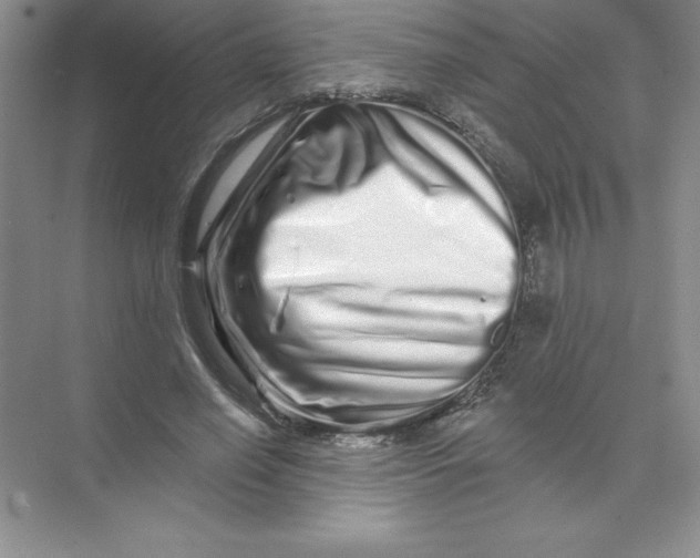 X0000074220638200609222008