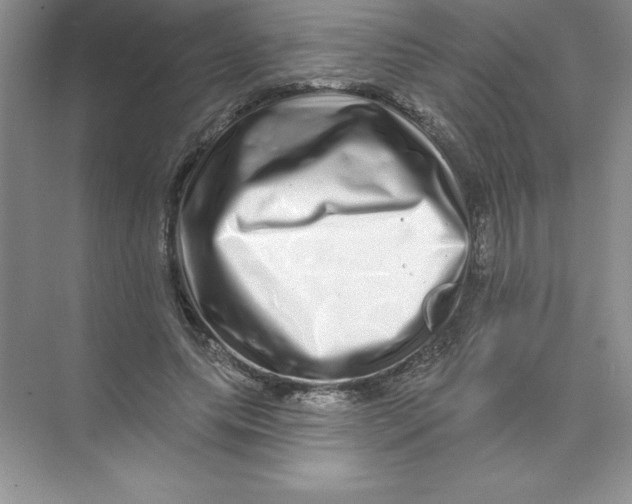 X0000074220639200609222008