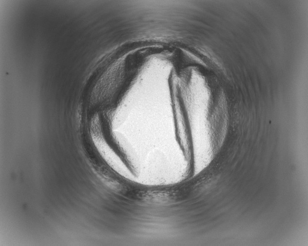 X0000074220640200609222008