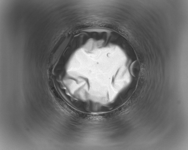 X0000074220642200609222008
