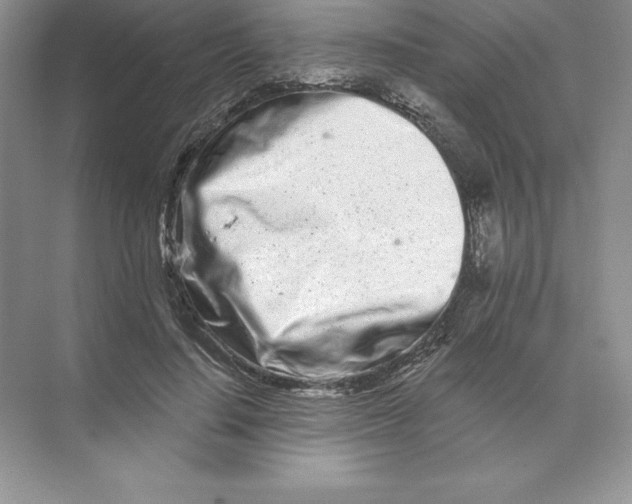 X0000074220644200609222008