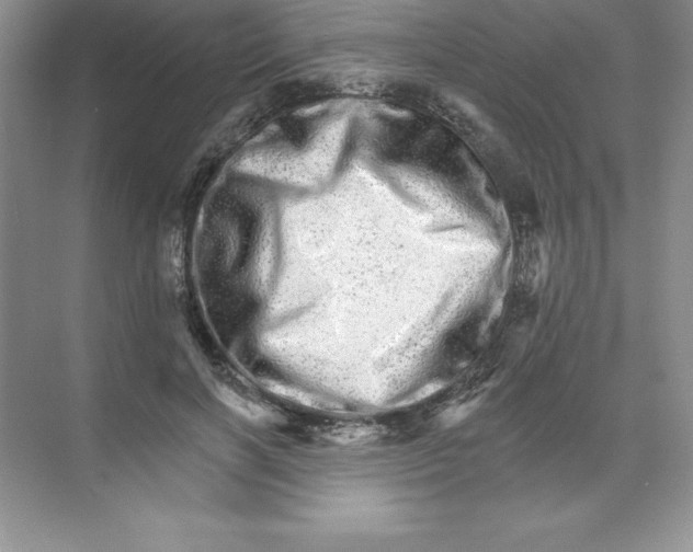 X0000074220646200609222008
