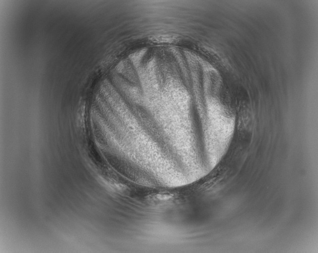 X0000074220647200609222008
