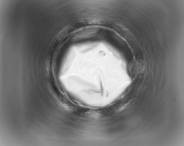 X0000074220648200609222008