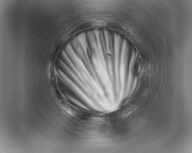 X0000074220649200609222008