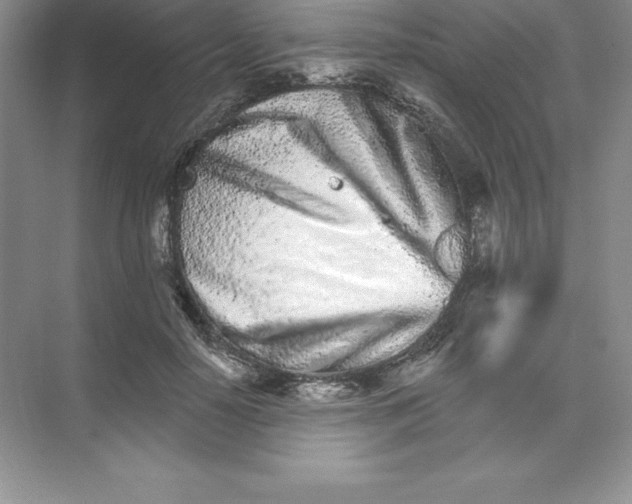 X0000074220650200609222008