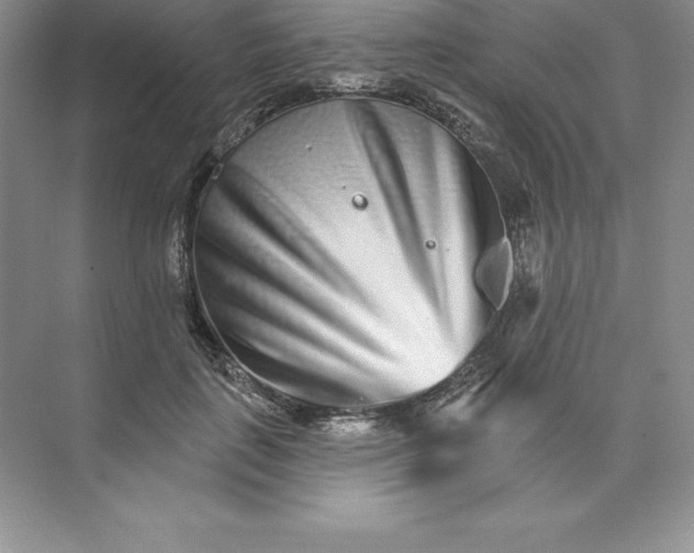 X0000074220651200609222008