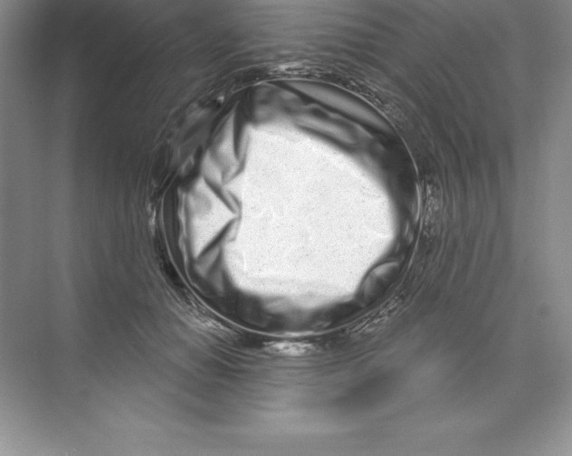 X0000074220654200609222008